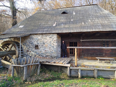 סיביו – יום מלא קסם, אותנטיות וחוויות בלתי נשכחות